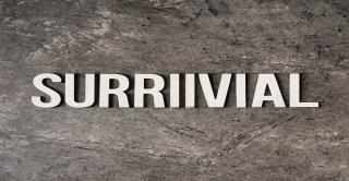 Bannière du serveur 146sMCServer-Survival