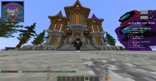Bannière du serveur DANKS MC