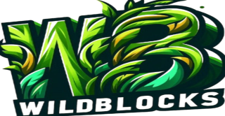 Bannière du serveur WildBlocks