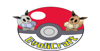 Bannière du serveur Evolicraft