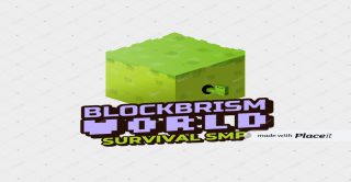 Bannière du serveur BLOCK BRIM